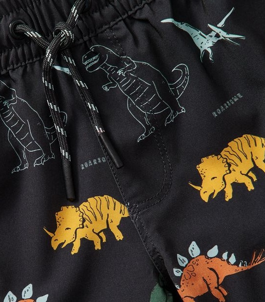 Swim Boardshort