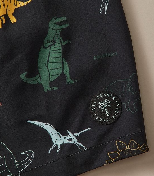 Swim Boardshort