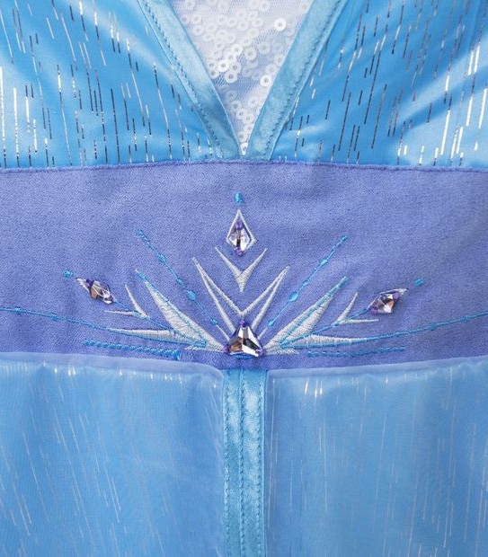 Disney Frozen 2 Elsa Semi Deluxe Costume