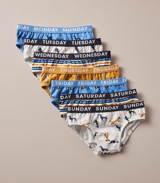 7 Pack Maxx Briefs