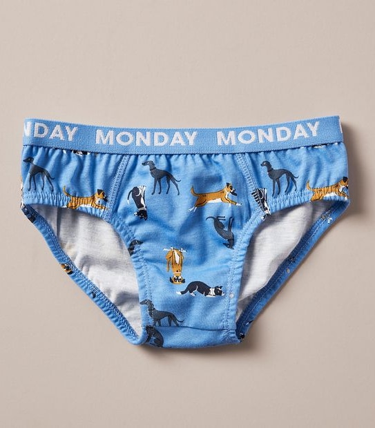 7 Pack Maxx Briefs
