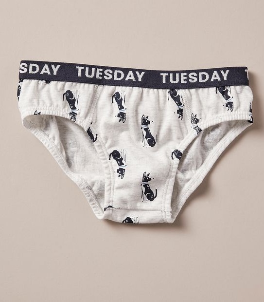 7 Pack Maxx Briefs