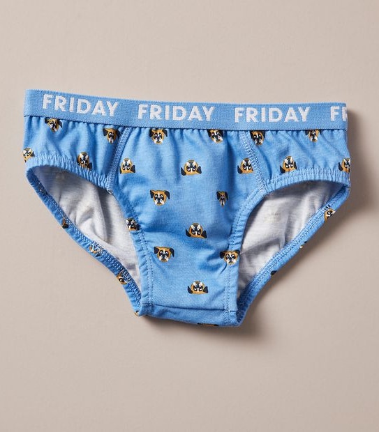 7 Pack Maxx Briefs