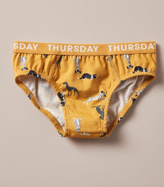 7 Pack Maxx Briefs