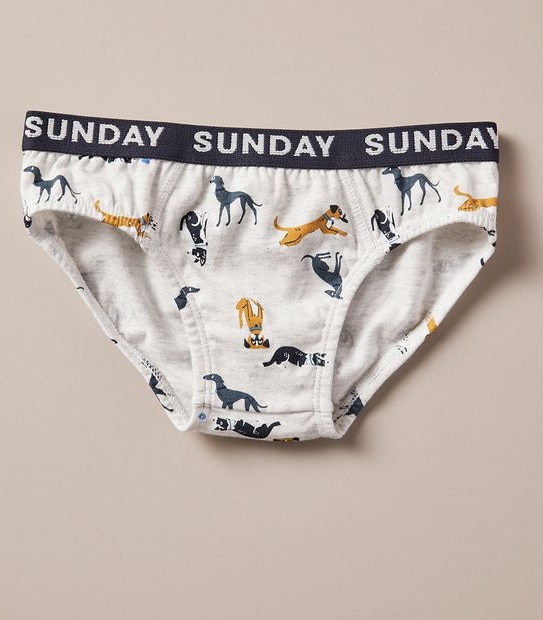 7 Pack Maxx Briefs