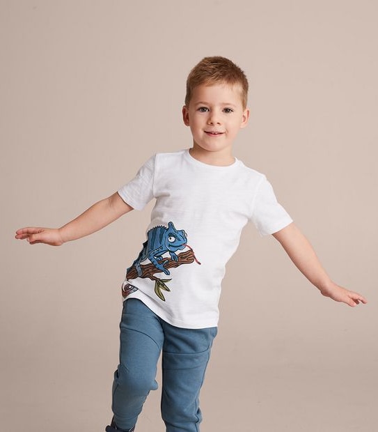Novelty Gecko T-shirt