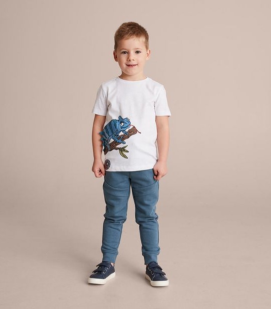 Novelty Gecko T-shirt