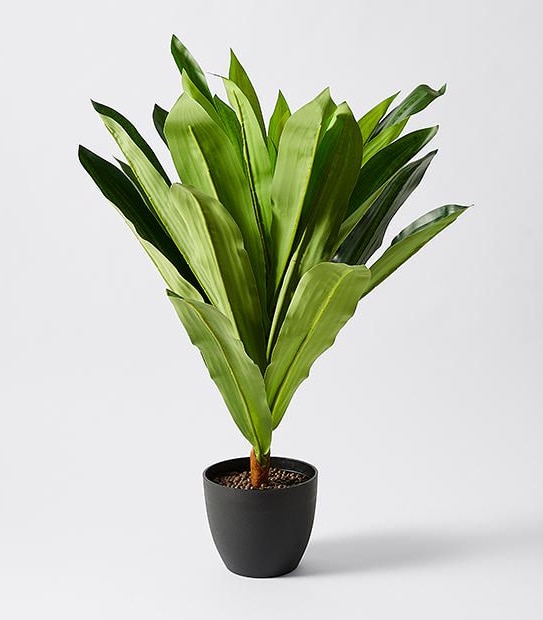 Faux Dracena In Pot