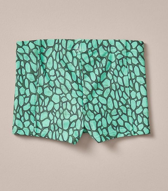 2 Piece Dinosaur Swim Set