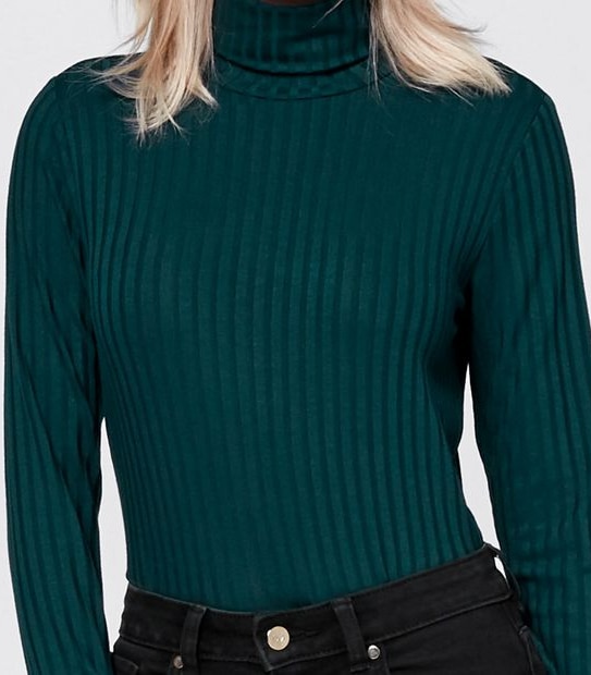 Dannii Minogue Petites Turtle Neck Top - Green