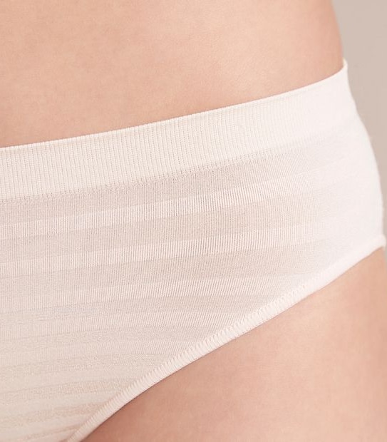 2 Pack Matte and Shine Seamfree Bikini Briefs