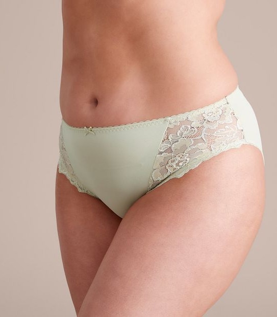 Fuller Figure High Cut Lace Briefs