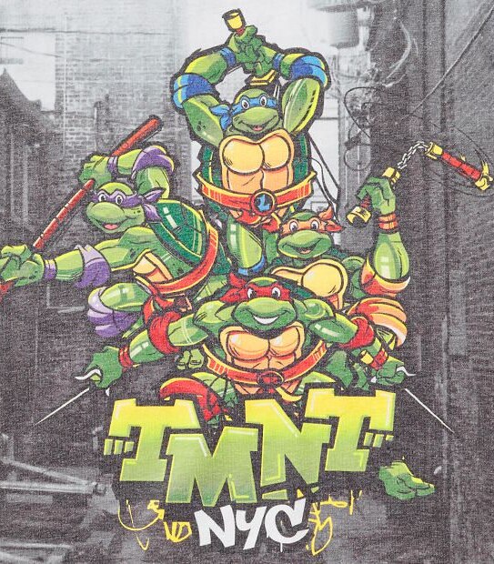 Teenage Mutant Ninja Turtles Short Sleeve NYC T-Shirt