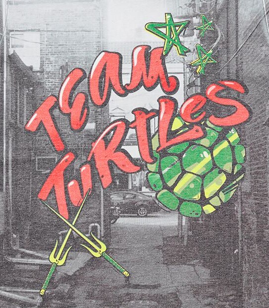 Teenage Mutant Ninja Turtles Short Sleeve NYC T-Shirt