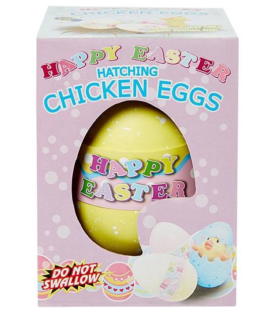Hatching Chicken Eggs