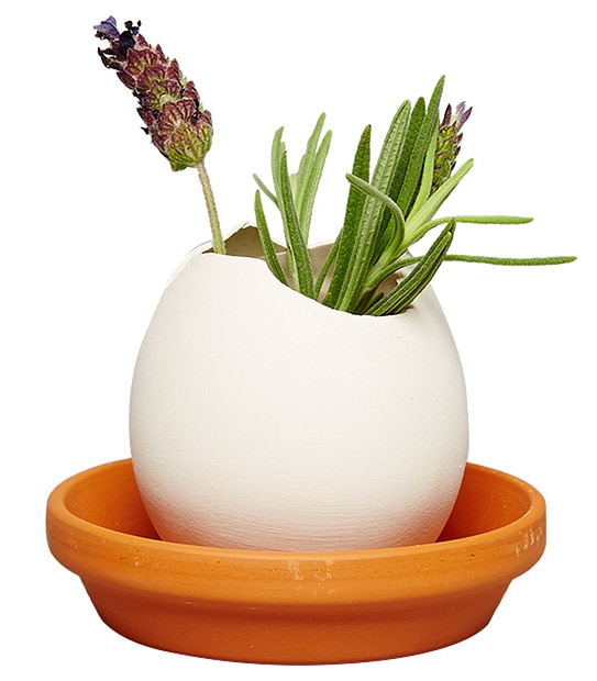 Eggling Crack & Grow: Lavender de Provence