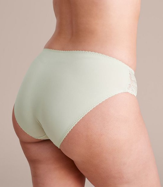 Fuller Figure High Cut Lace Briefs