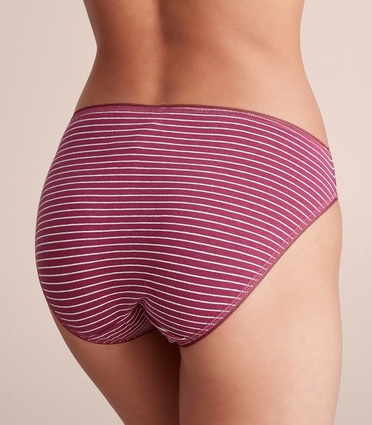 5 Pack Cotton/Elastane Bikini Briefs; Style: LBK183533