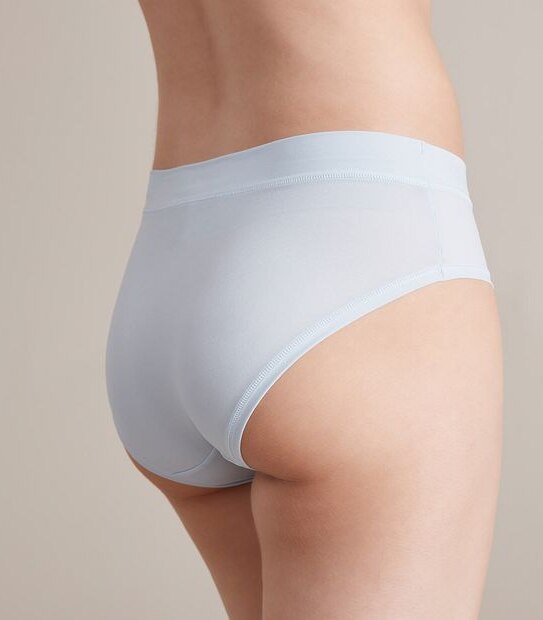 Recycled Boyleg Briefs
