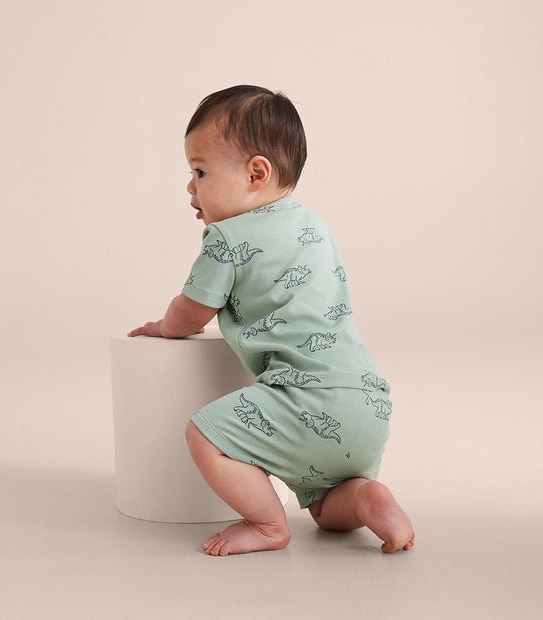2 Pack Baby Organic Cotton Dinosaur Pyjama Sets