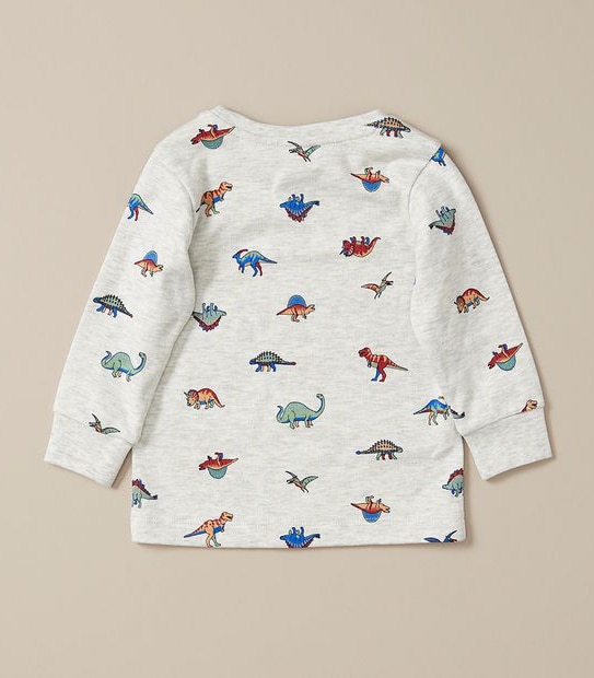 Baby Organic Cotton Dinosaur Pyjama Set