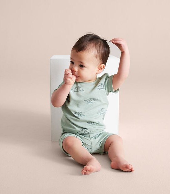 2 Pack Baby Organic Cotton Dinosaur Pyjama Sets