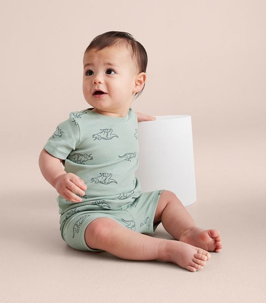 2 Pack Baby Organic Cotton Dinosaur Pyjama Sets