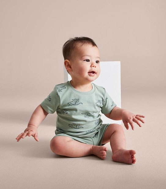 2 Pack Baby Organic Cotton Dinosaur Pyjama Sets