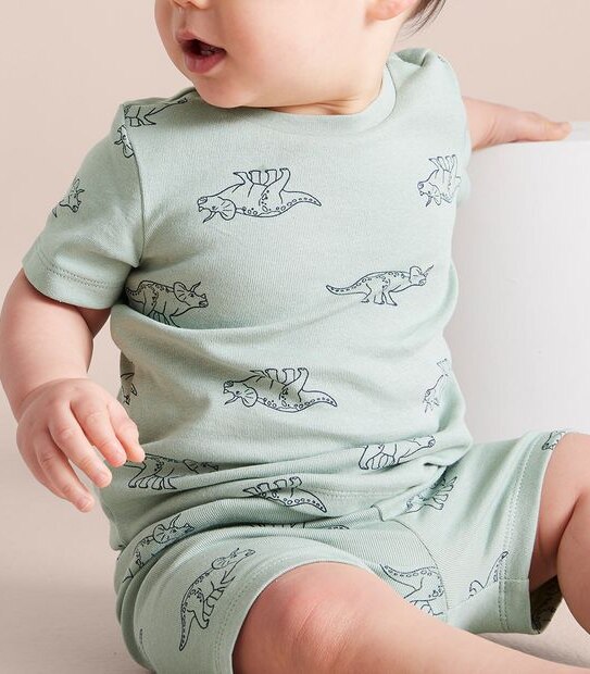 2 Pack Baby Organic Cotton Dinosaur Pyjama Sets