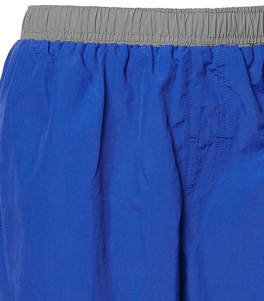 Men's Target Active Swim Shorts - Cobalt Stripe