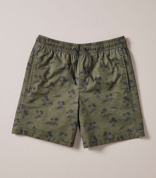 Volley Swim Board Shorts