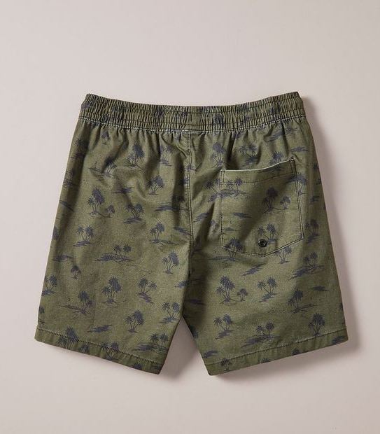 Volley Swim Board Shorts
