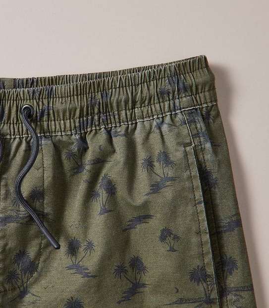Volley Swim Board Shorts