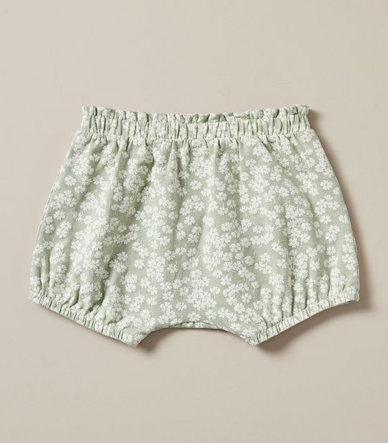 2 Pack Baby Organic Cotton Shorts