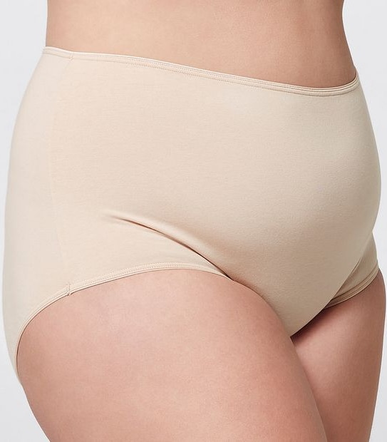 Belle Curve 2 Pack Australian Grown Cotton Spa FX Full Briefs; Style: LFB6204FF