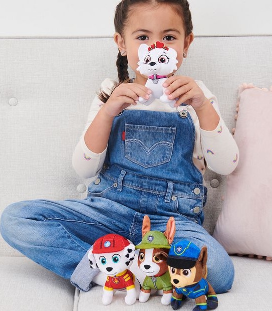 PAW Patrol Mini Plush - Assorted*