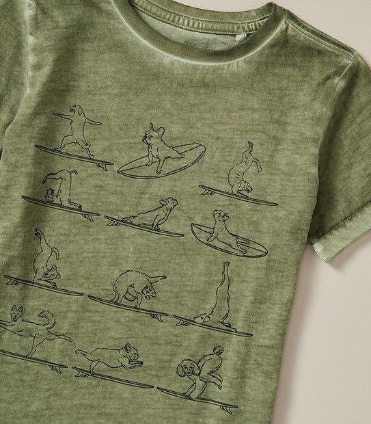 Cold Wash Print T-shirt | Target Australia