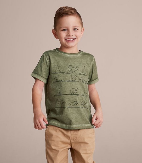 Cold Wash Print T-shirt | Target Australia