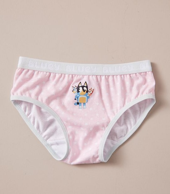4 Pack Bluey Briefs