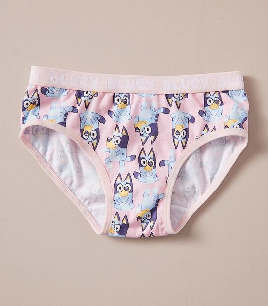 4 Pack Bluey Briefs