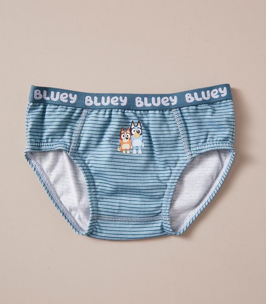 4 Pack Bluey Briefs