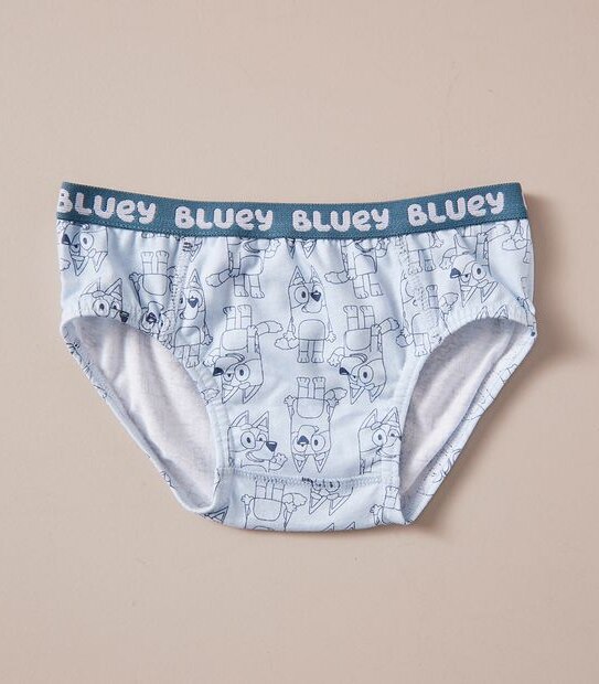 4 Pack Bluey Briefs