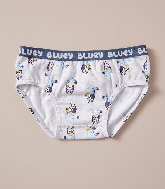 4 Pack Bluey Briefs