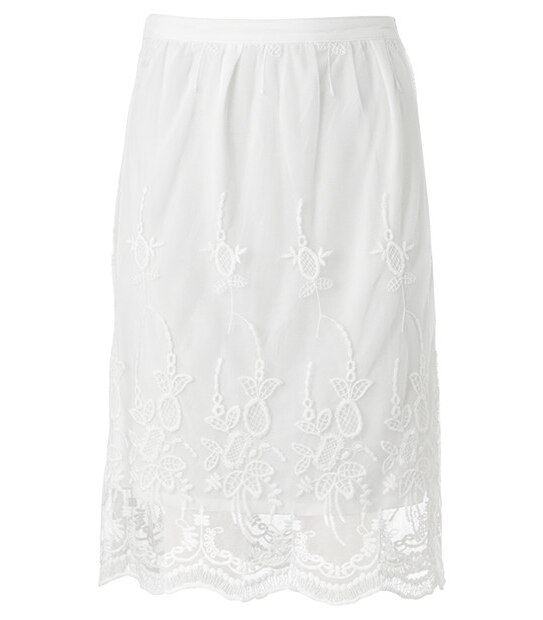 Free Folk Embroidered Lace Skirt