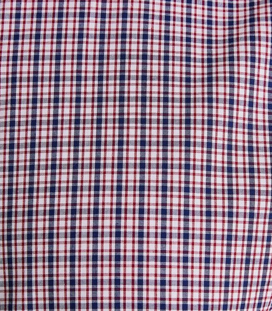 Preview Long Sleeve Gingham Check Shirt
