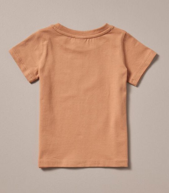 S23 246603_02 B SS PRINT TEE 3PK TIGER JUNGLE CRM