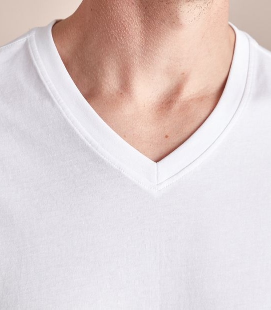 Organic Cotton V-Neck T-Shirt