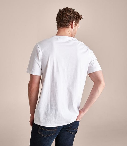 Organic Cotton V-Neck T-Shirt