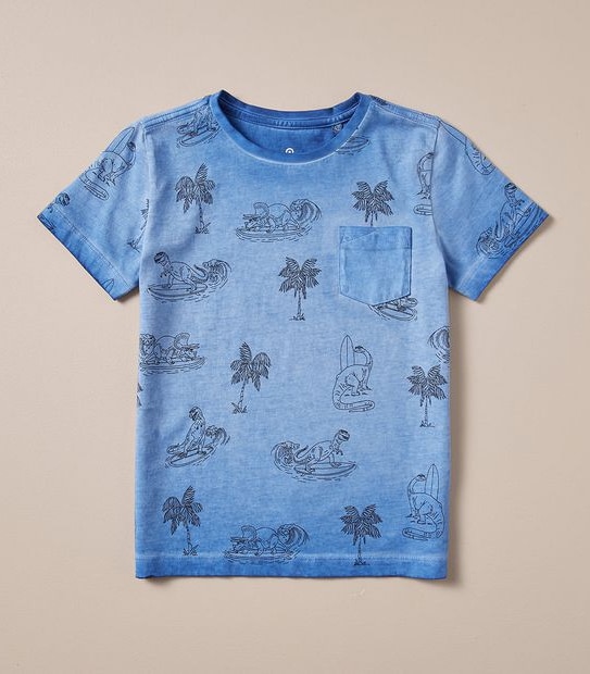 Dinosaur T-shirt