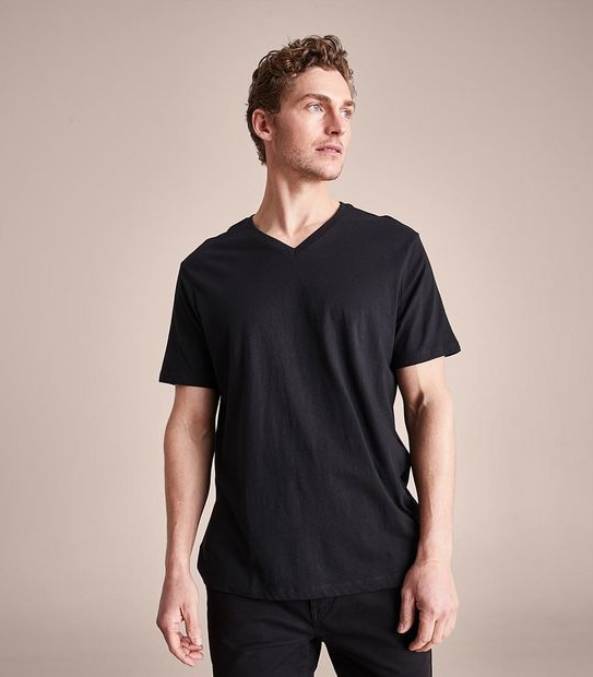 Organic Cotton V-Neck T-Shirt